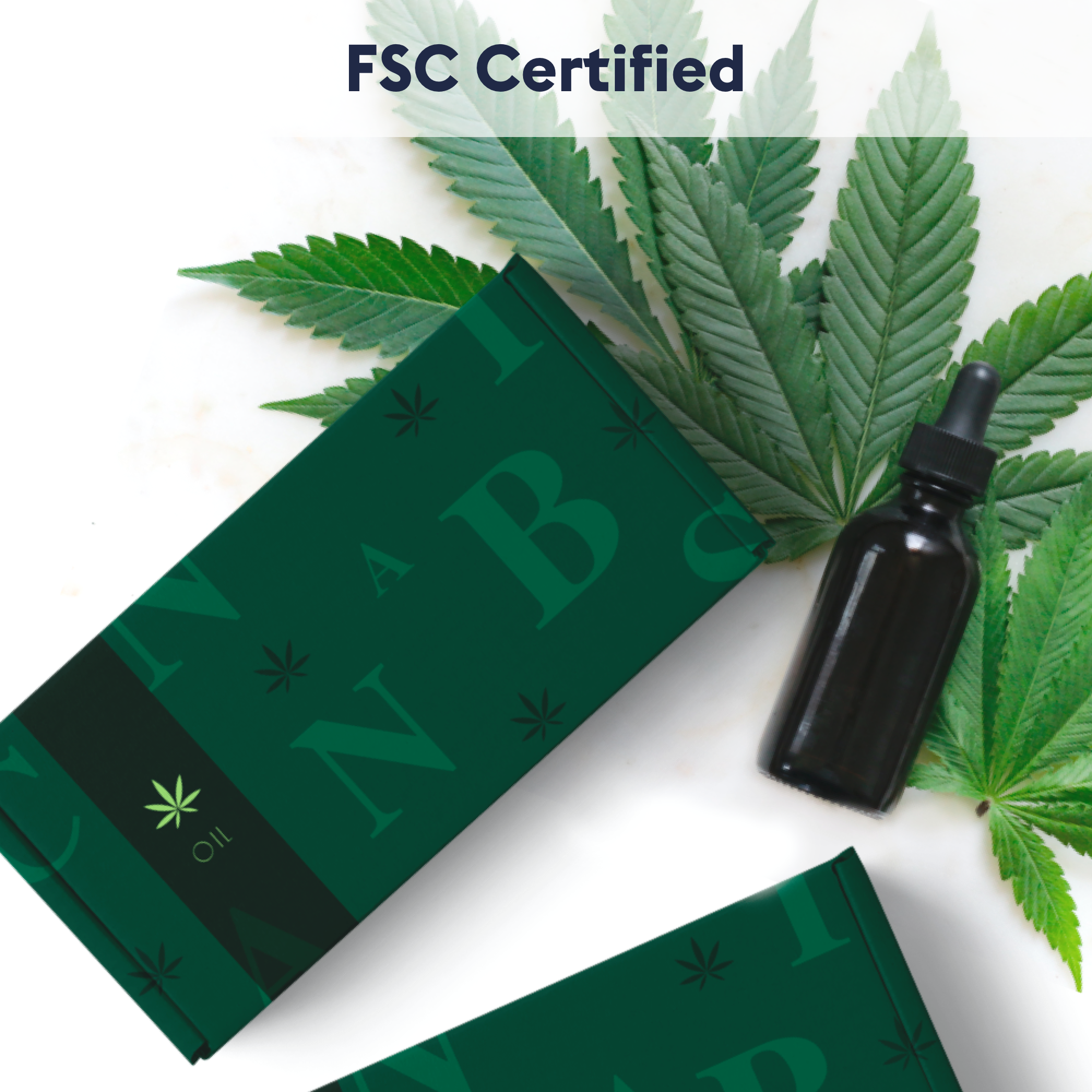 FSC Certified Mailer Boxes