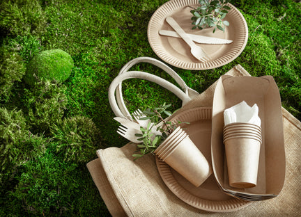 Biodegradable vs Compostable: What's the Difference?