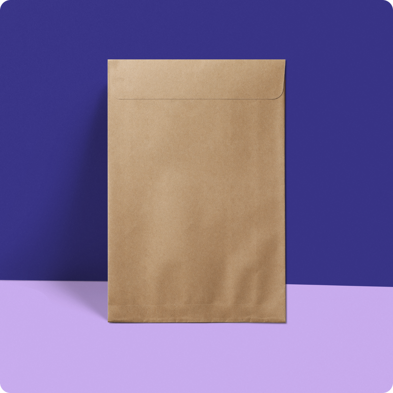 100% Recycled Paper Mailers