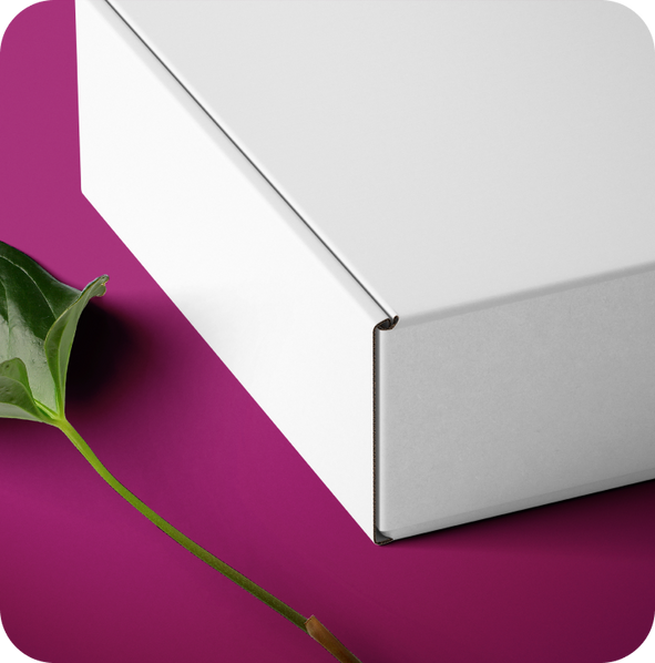Blank Mailers / 100 units - Blank Mailers / 100 units - image 3 of 4
